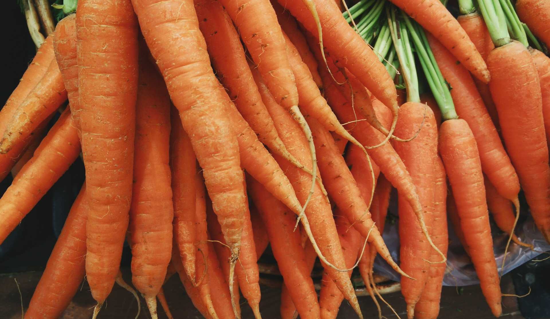 Carrots